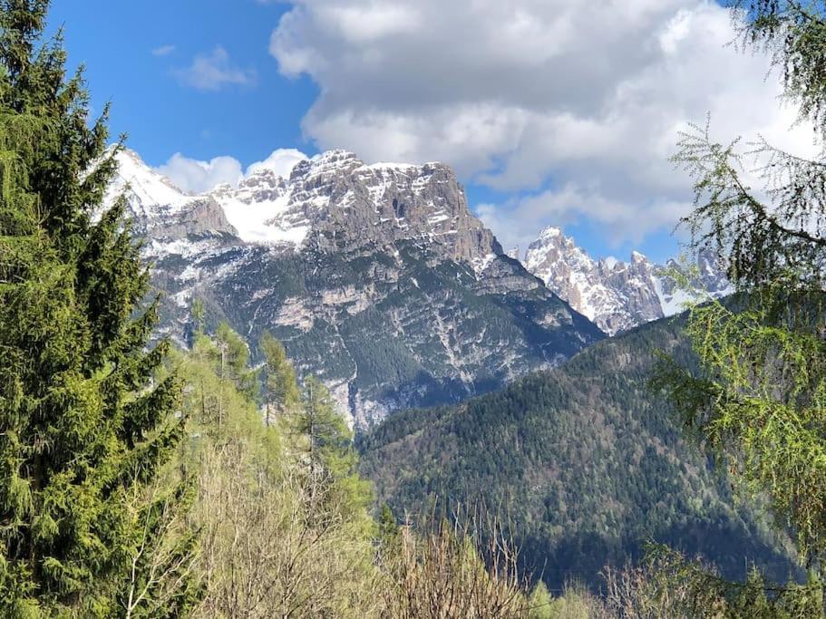 Appartamento Giada Pozzale Di Pieve Di Cadore Luaran gambar